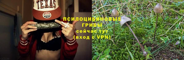 МДМА Ельня