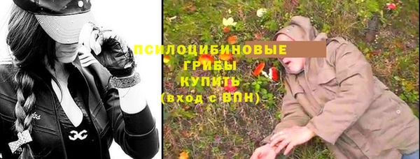 стафф Елабуга